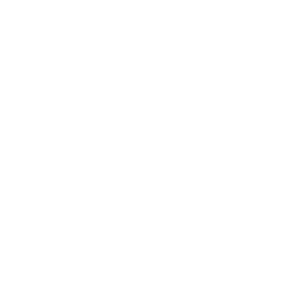 Giant Sea Spider