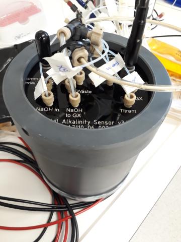 Alkalinity sensor