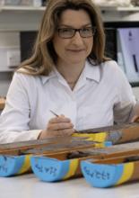 Photograph of Dr Claire Evans